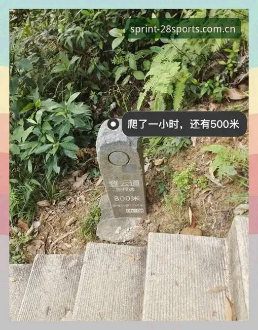 实战亲测：为什么我建议你绕过“体育下载官方主页安卓版下载安卓版”的坑？
